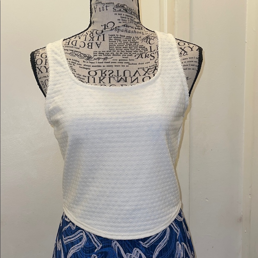 Sage White Ribbed Crop Tank Top - Picture 1 of 3